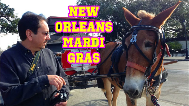 New Orleans - Mardi Gras 2014 - Traveling Robert