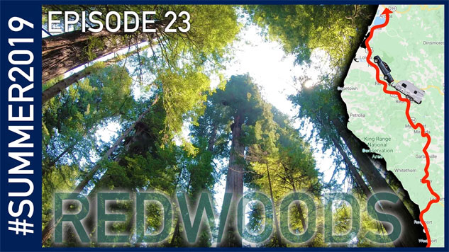 California Redwoods - Summer 2019 Episode 23