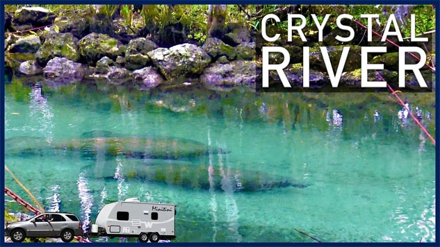Crystal River, Florida: Manatee Festival and Three Sisters Spring